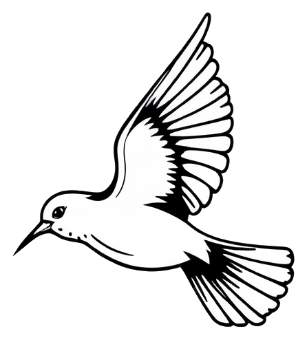 A bird flying in the sky at sunset, with the sun's rays casting a warm glow on its feathers.