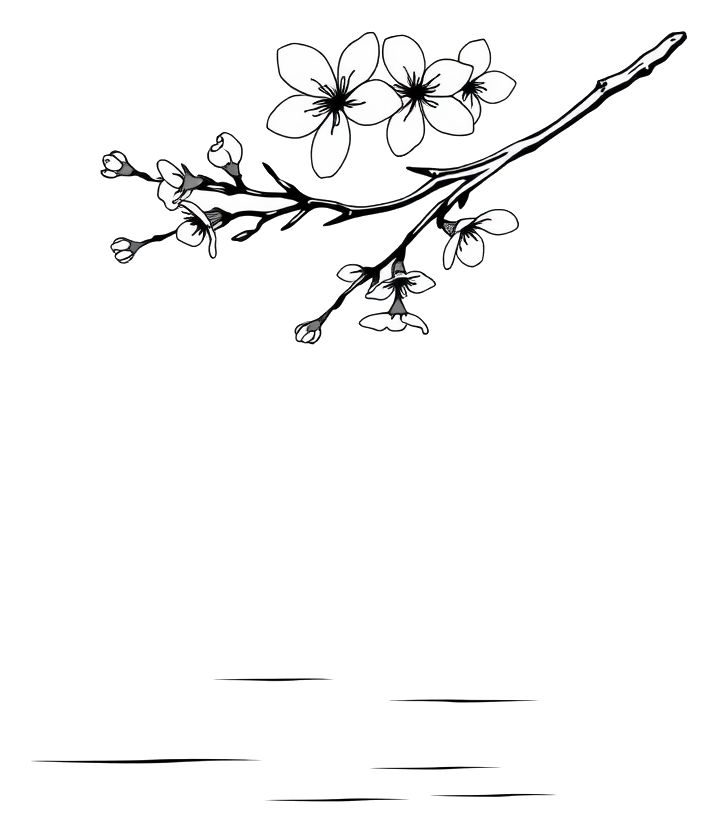 A delicate cherry blossom branch stretching over a serene lake, rendered in bold black ink line art with clean outlines and simple shading.
