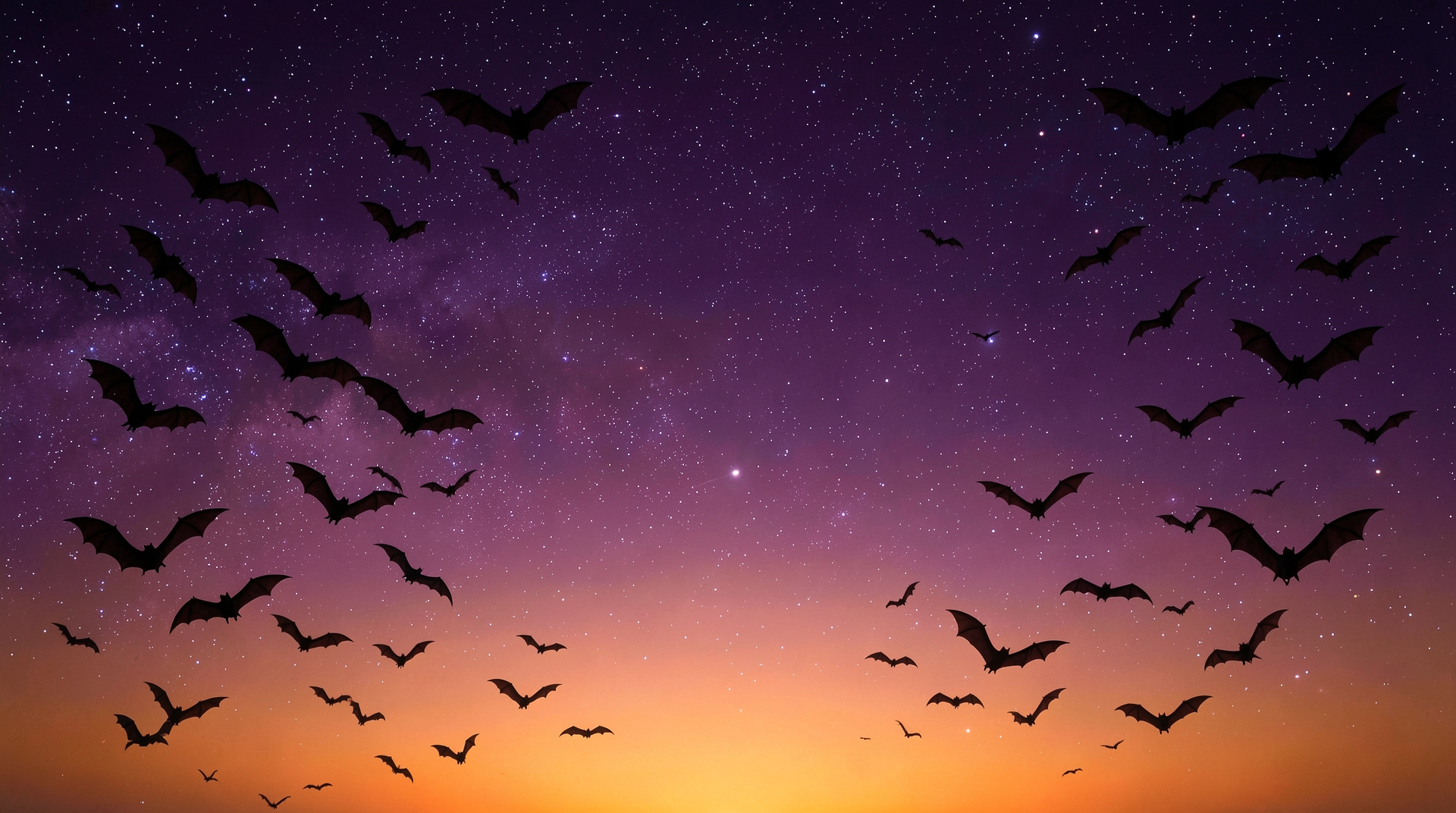 Dark sky with purple and orange gradient