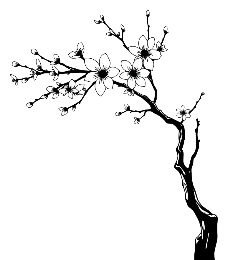 Delicate cherry blossom branch against soft pink background