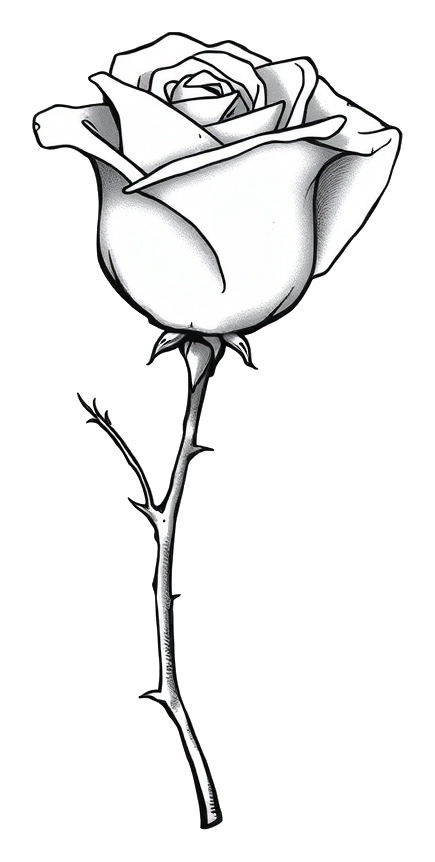 Delicate Rose Stem with Thorns, Soft Natural Light