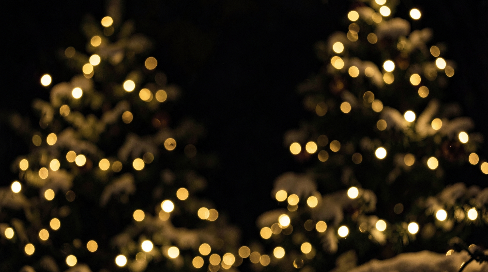 Golden Christmas lights with bokeh effect
