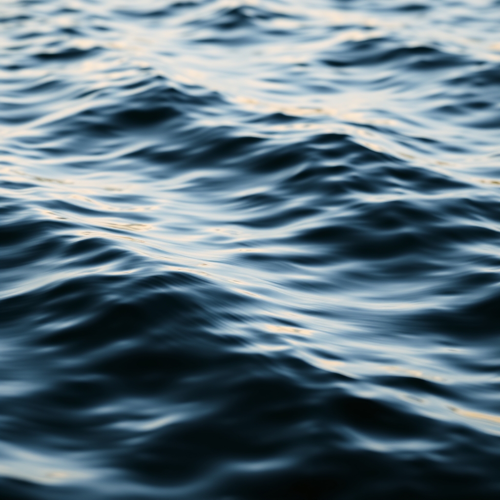 A close-up of ocean waves with soft natural light