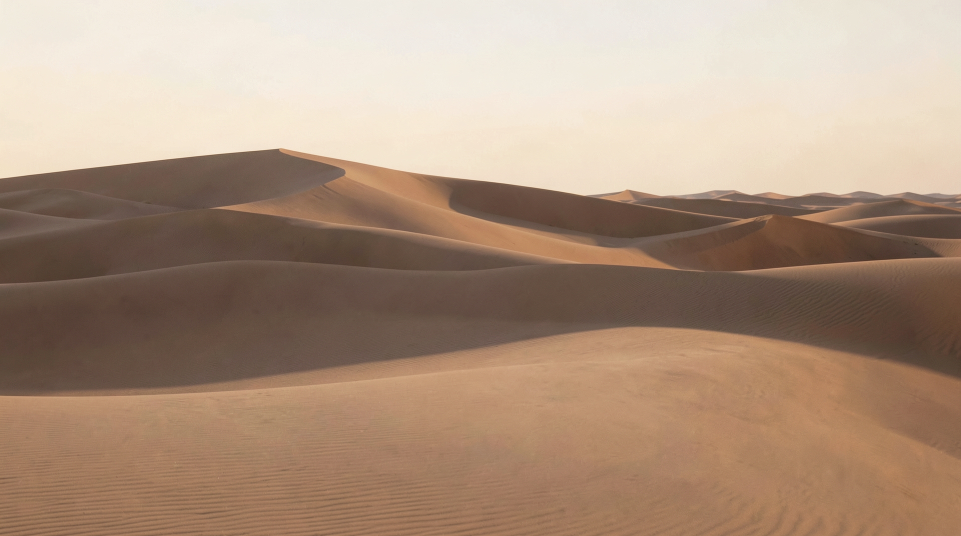 Serene sand dunes under soft natural light