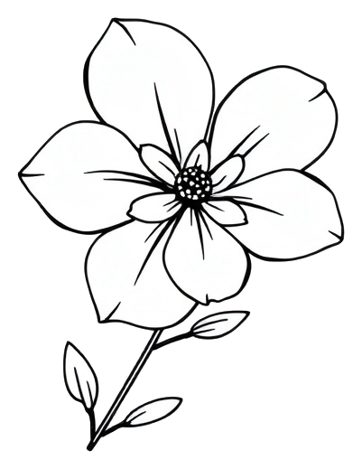 A single pastel-colored flower in black line art, set against a pure white background, exuding a sense of simplicity and elegance.