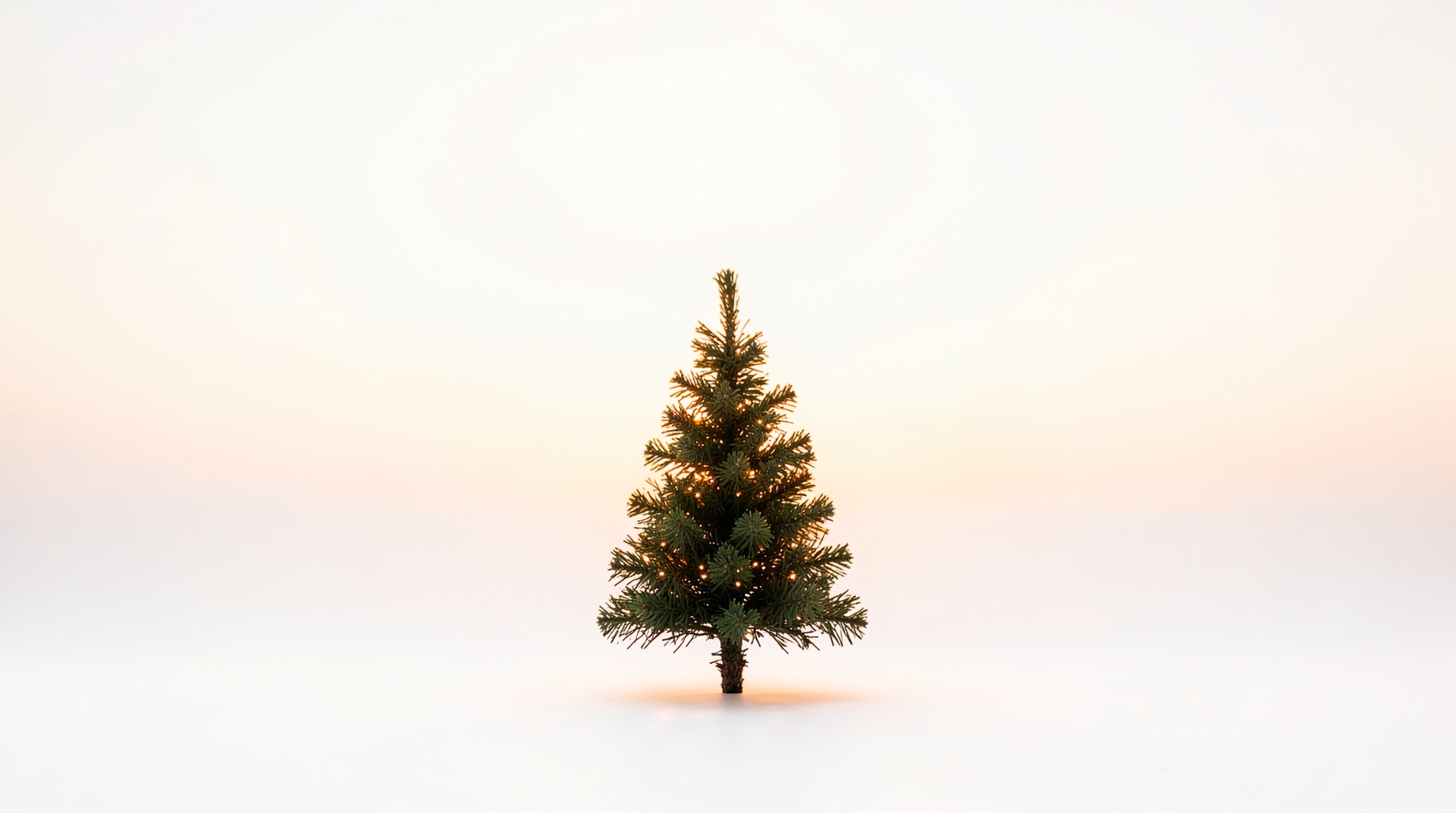 Small Christmas tree on white background