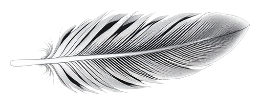A single white feather's edge, isolated on a pure white background, in a minimalist composition with soft lighting.